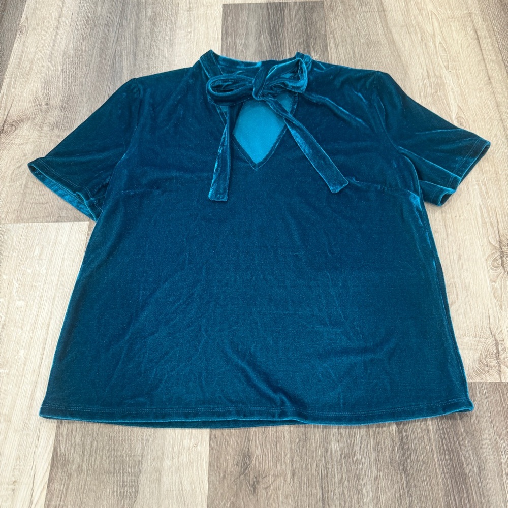 Sunday in Brooklyn Anthropologie Velvet Tie Top Women Small Blue Festive Holiday